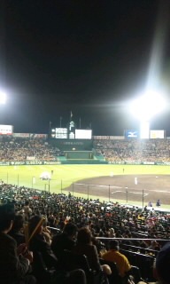 100409_2043~02.jpg