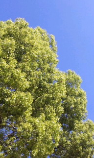 100425_0912~02.jpg